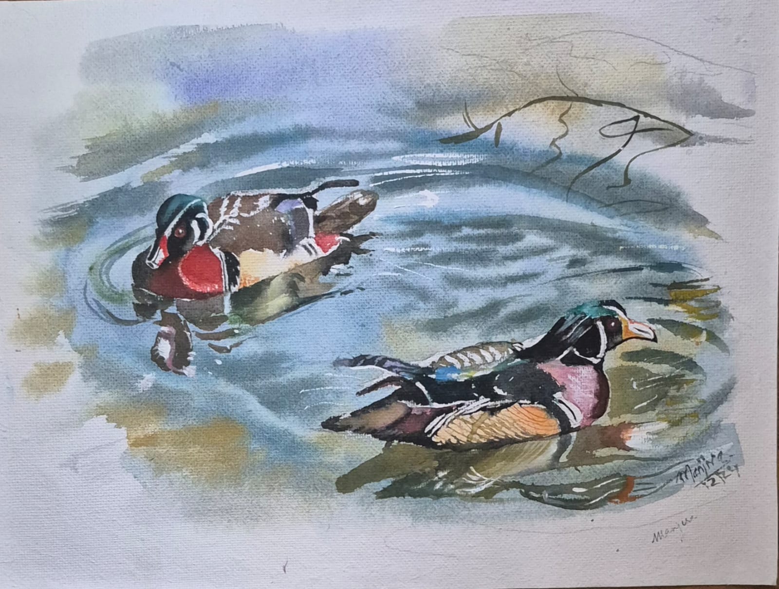 Ducks Swimming in the water
